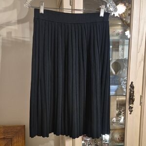 Elegant Black Pleated Skirt